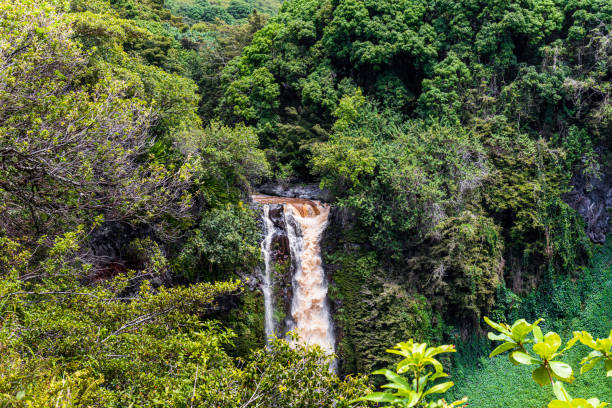 Pipiwai Trail, Maui Makahiku falls form the Pipiwai Trail, Maui, Hawaii hana coast stock pictures, royalty-free photos & images