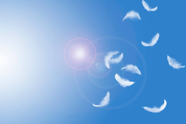 istock Solf white feathers floating in the air, on a blue sky 1159235254