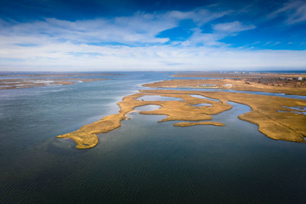 istock Long island seen from the air 1159236309