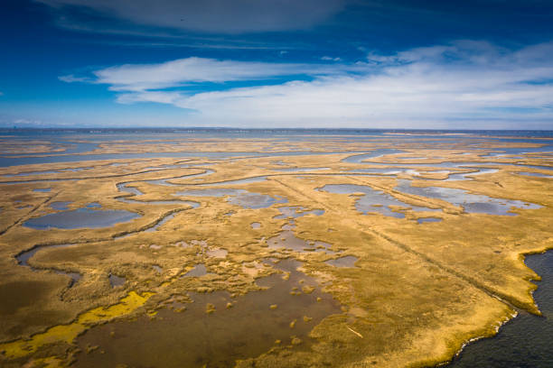 istock Long island seen from the air 1159236396
