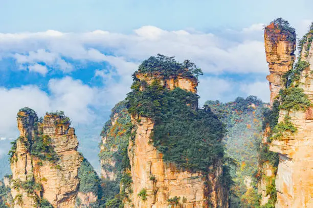 Photo of Colorful cliffs in Zhangjiajie Forest Park at sunny foggy morning time.