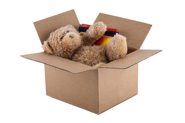 istock Teddy Bear in cardboard box isolated on white background 1159237560