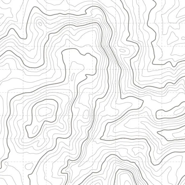 Vector illustration of Topographic map. Geographical location lines, cartography contour line nature trails relief texture image. Mapping grid vector concept