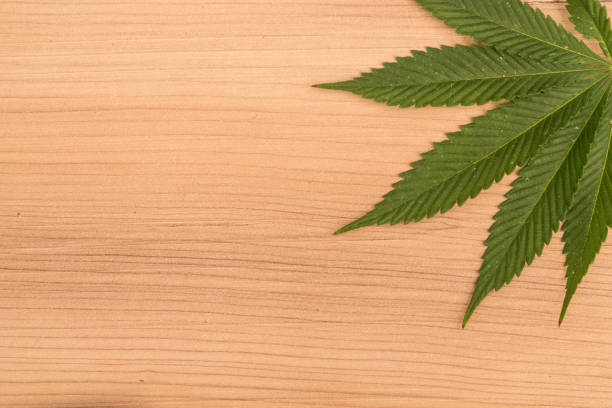 istock Cannabis leaves on a wood table 1159238077