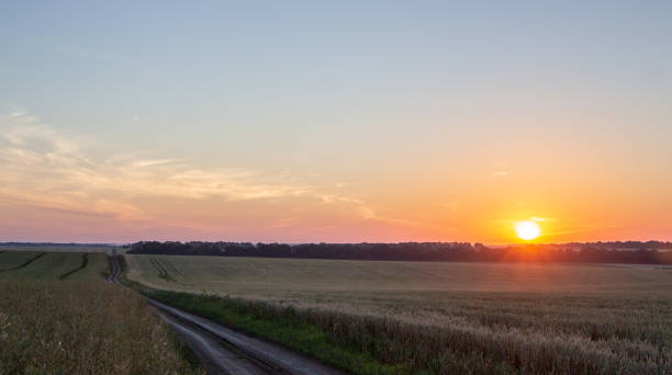 istock Wheat field with blue sky with sun and clouds against the backdrop 1159238744