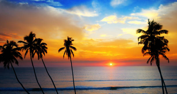 istock Delightful sunset over the ocean. 1159240203