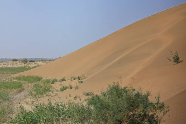 przesuwające się wydmy-pustynia takla makan. yutian keriya county-xinjiang uyghur region-chiny-0250 - sandscape zdjęcia i obrazy z banku zdjęć