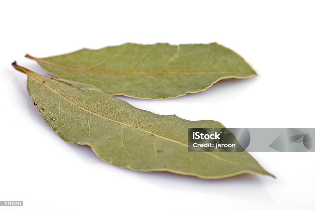 "bay laurel, Laurus nobilis)" 또는 잎 - 로열티 프리 0명 스톡 사진