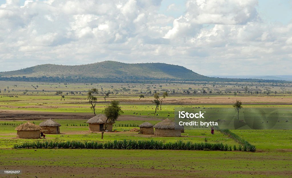 Typowo afrykański krajobraz z Afryki chatki i bydła, Tanzania - Zbiór zdjęć royalty-free (Rolnictwo)