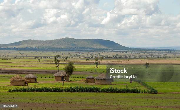 Typowo Afrykański Krajobraz Z Afryki Chatki I Bydła Tanzania - zdjęcia stockowe i więcej obrazów Rolnictwo