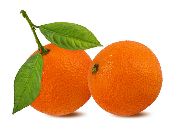 istock Mandarin orange isolated on white background with clipping path 1159243619