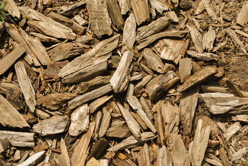 Mulch. Natural wood chips of large fraction.