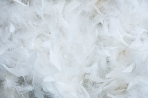 Background of just white soft feathers cover