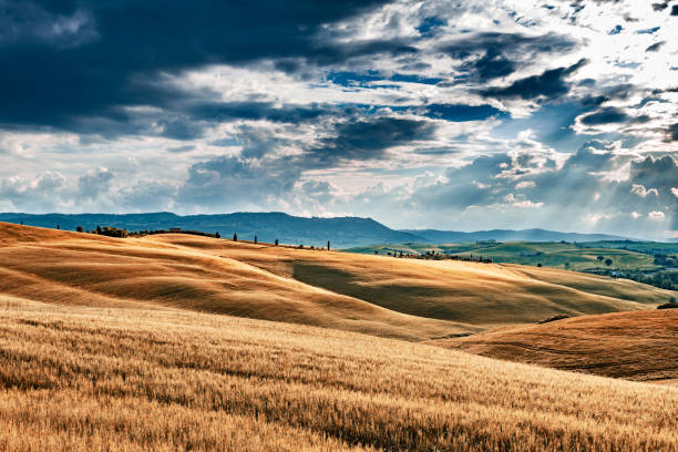 istock Sunny landscape from Val d'Orcia, Tuscany, Italy 1159249475