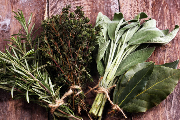 istock Homegrown and aromatic herbs on rustic background with rosemary and basil 1159249685