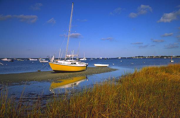 bassa marea - cape cod new england sea marsh foto e immagini stock