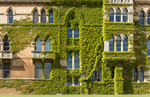 Oxford,United Kingdom, Christ Church College building on a sunny afternoon. Close-up on the facade.