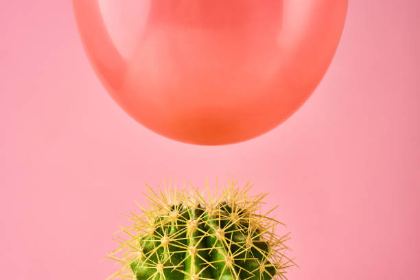 palloncino rosso cadere su ago cactus su sfondo rosa. concetto di pericolo o protezione - cactus thorns foto e immagini stock