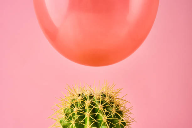 istock Red balloon fall on cactus needle on a pink background. Danger or protection concept 1159267710