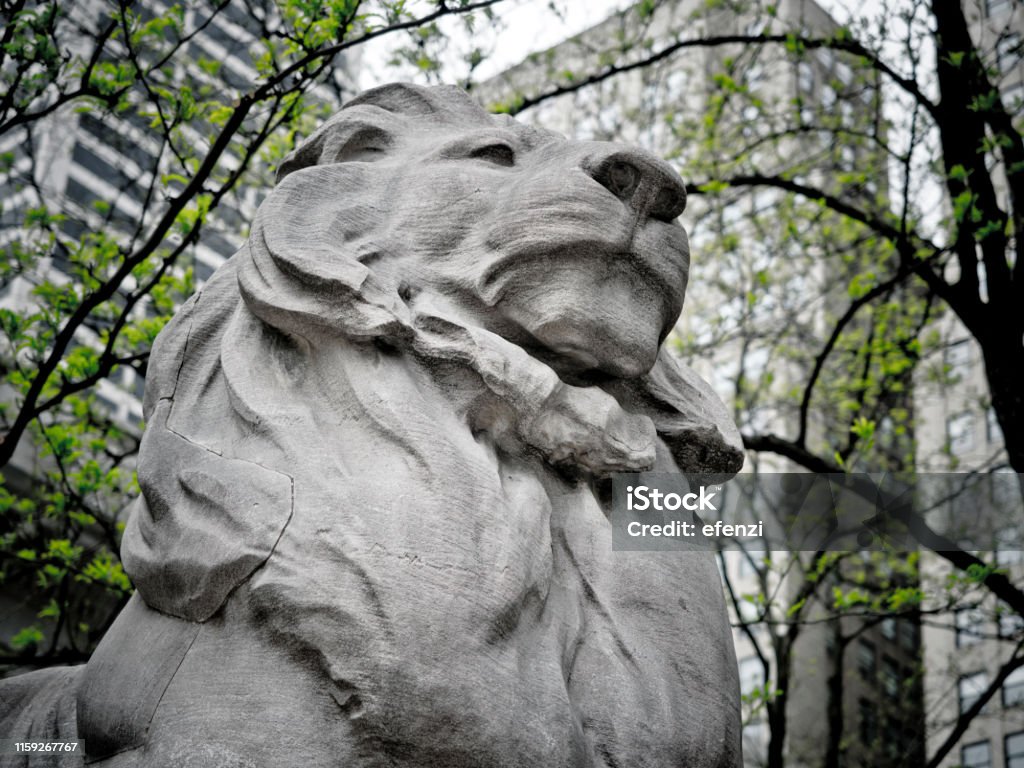 Lion Statue At New York Public Library Lion statue at the New York Public Library

Note to inspector: The Library Lions were sculptured by Edward Clark Potter in 1911 (he died in 1923). According to the American law all art works published before 1924 are in the public domain due to copyright expiration (https://copyright.cornell.edu/publicdomain). Art Stock Photo