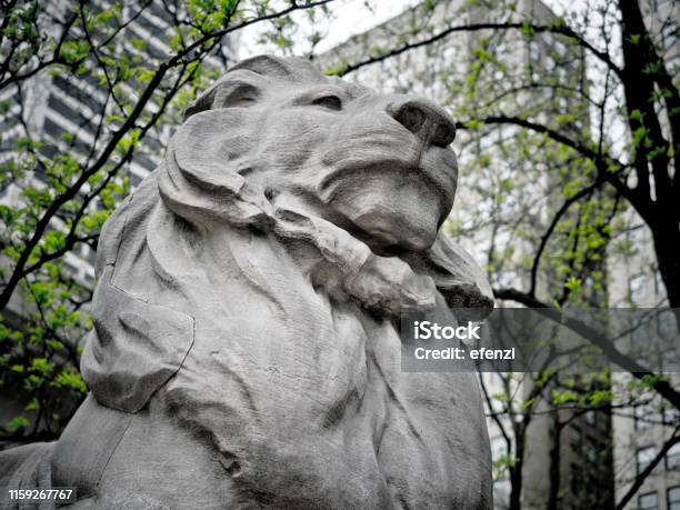 Lion Statue At New York Public Library Stock Photo - Download Image Now - Art, Color Image, Famous Place