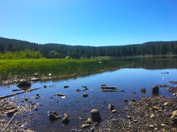 istock lake in the mountains 1159269951