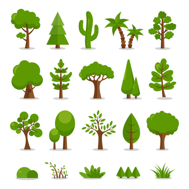 ilustraciones, imágenes clip art, dibujos animados e iconos de stock de conjunto de árboles - ilustración de dibujos animados vectoriales - tree