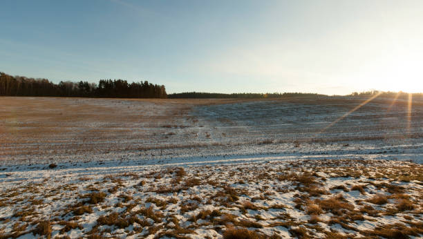 istock Field in the snow 1159273589