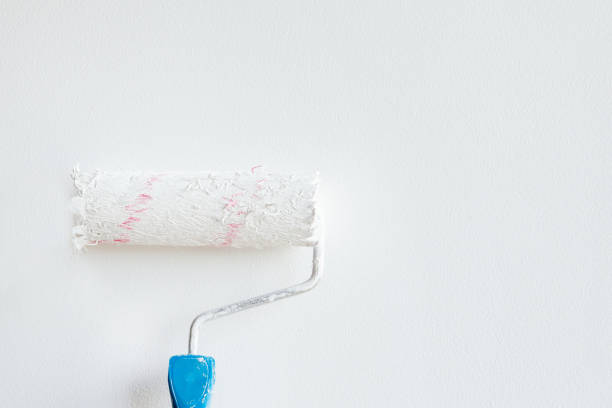 istock Woman hand holding a paint roller isolated on a white background 1159276246