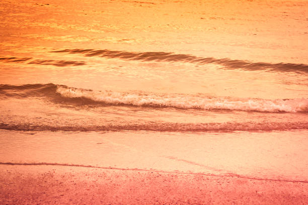 золотые волны на закате - тропический серфинг - coral water sunset usa стоковые фото и изображения