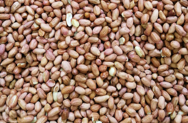 istock Peanuts roasted with salt at market 1159278307