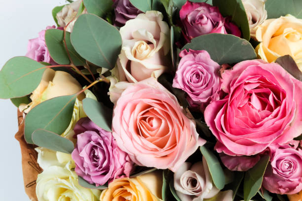 bouquet of many colorful roses - pink rose flower color image imagens e fotografias de stock