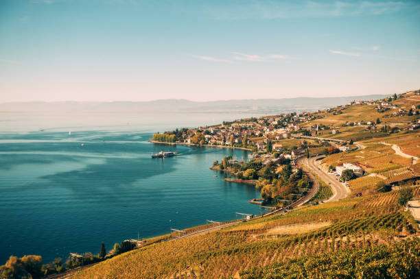 paisagem surpreendente do outono de vinhedos de lavaux riviera suíço área de lausana cantão de vaud switzerland - lake geneva - fotografias e filmes do acervo