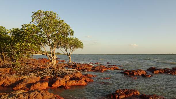 kerr point, qld. - arafura sea imagens e fotografias de stock