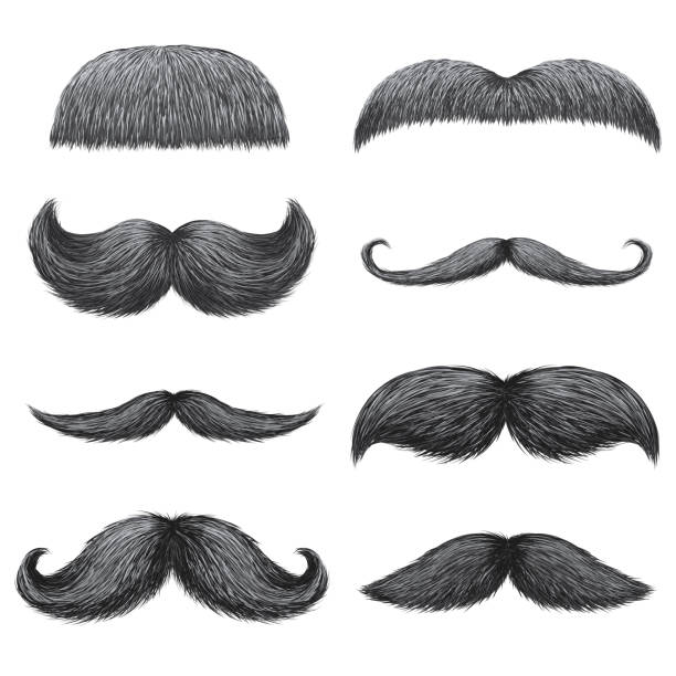 Different styles of male realistic mustaches set. Chevron, Dali, english, handlebar, imperial, lampshade, painter brush, classic relaxed, thick thin man mustaches isolated. Different styles of male realistic mustaches set. Chevron, Dali, english, handlebar, imperial, lampshade, painter brush, classic relaxed, thick thin man mustaches isolated moustache stock illustrations