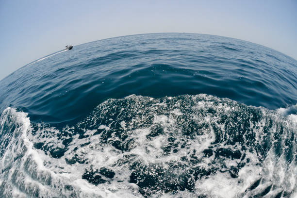 istock Waves that the ship leaves behind in the sea 1159288052