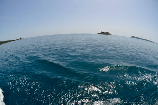 Waves on the turbulent sea