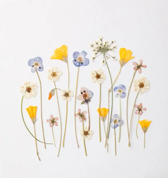 Artistic arrangement of little garden flowers