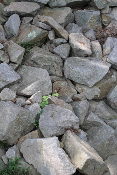 istock Large rocks with a small plant 1159288816