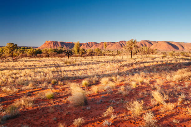 istock Kings Canyon at Sunset 1159289923