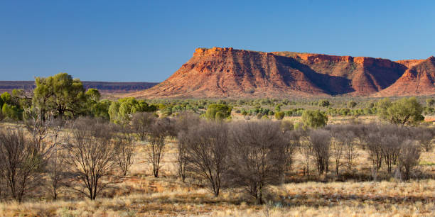 istock Kings Canyon at Sunset 1159289924