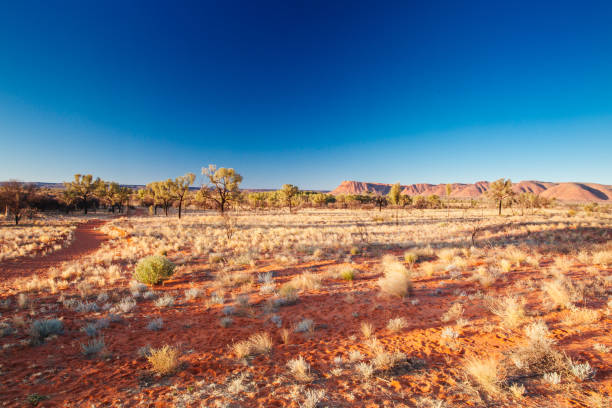 istock Kings Canyon at Sunset 1159289925
