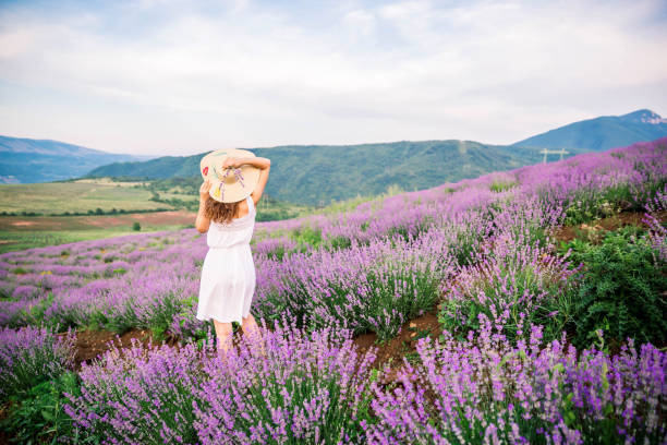 istock Enjoying in purple nature 1159289955