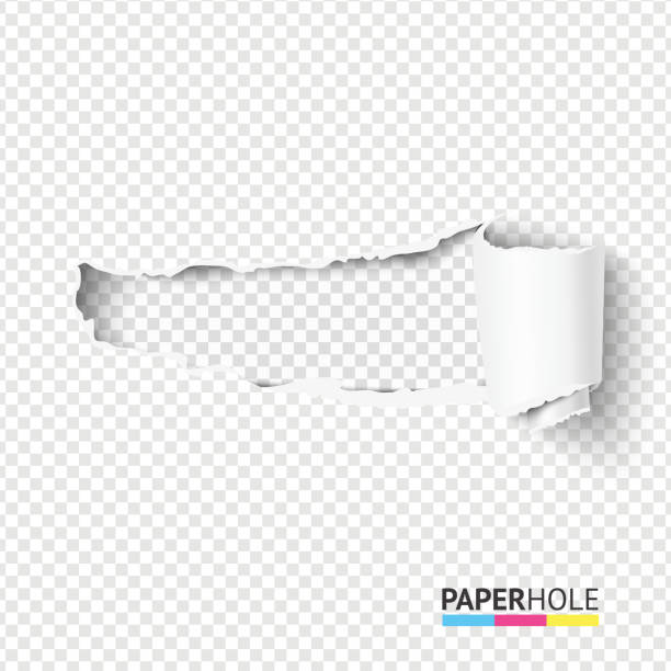 ilustrações de stock, clip art, desenhos animados e ícones de vector half blank torn paper pieces of scroll with torn edges of hole on a transparent background for sale banner - finding