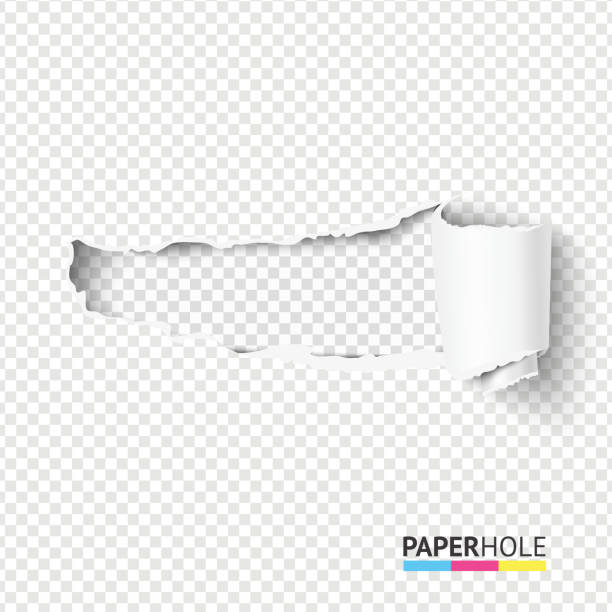Vector half blank torn paper pieces of scroll with torn edges of hole on a transparent background for sale banner Vector blank curled tear paper piece into a scroll with torn edges of hole and shadows on a transparent background for sale promo empty banner revealing some message. torn paper stock illustrations
