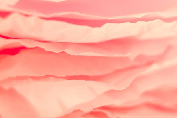istock coral red paper layers background rose petals 1159292200