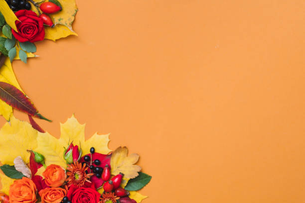 istock autumn floral arrangement fall colorful background 1159292313