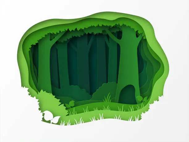 Vector illustration of Empty edge of the forest, the park. 3D design with green layers and trees. Grass, bushes, thicket. Paper cut