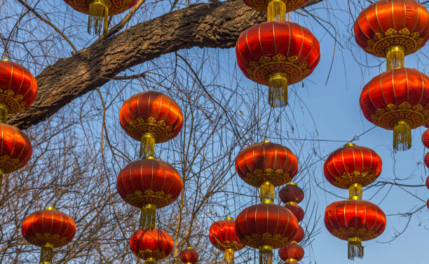 istock Chinese red lamps at Beijing street 1159294673