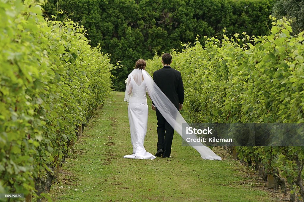 Newly weds walking through vineyard A newly wed couple walking through a vineyard. Adult Stock Photo